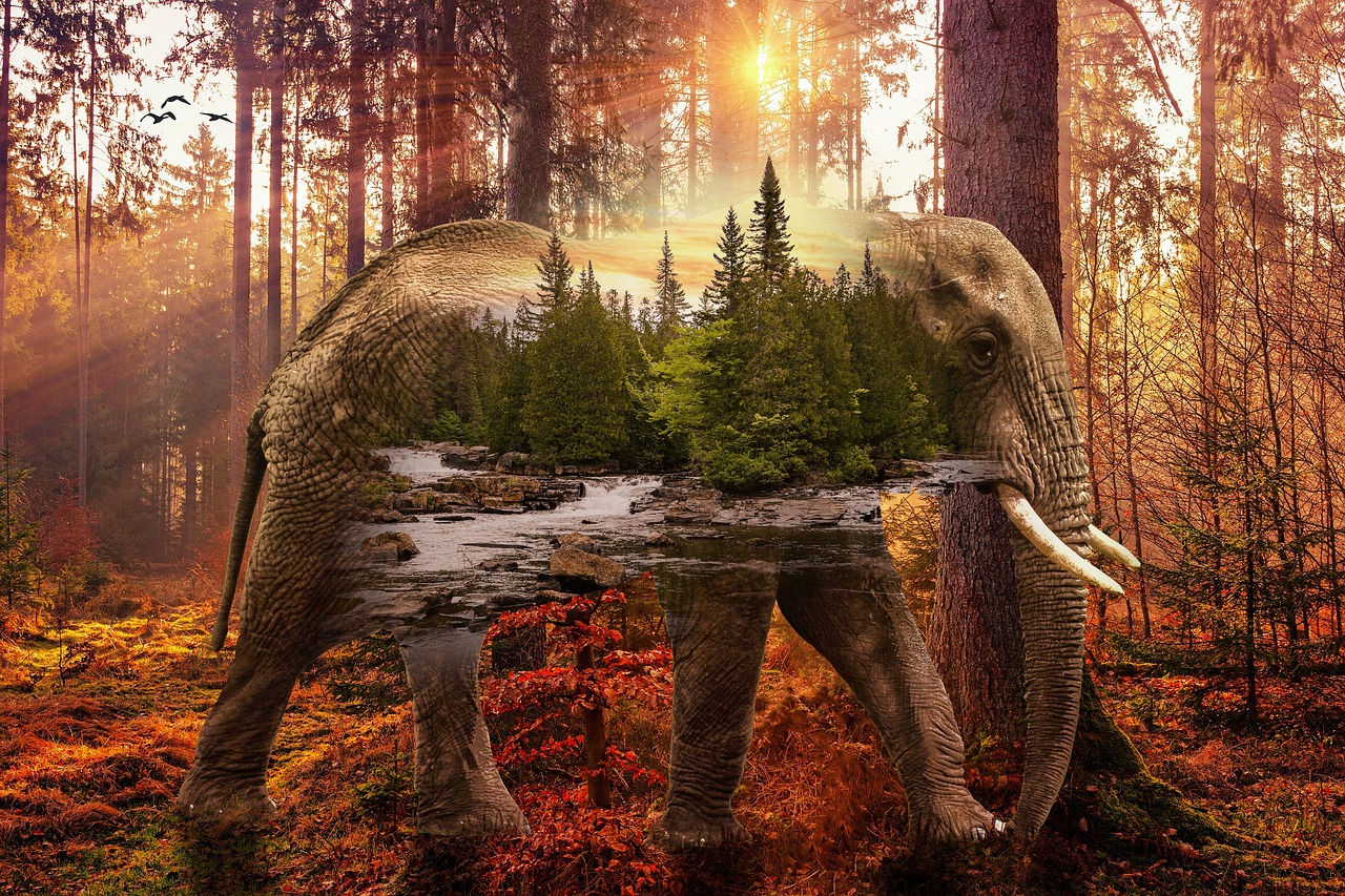 Ce que vous ne savez pas sur la culture de votre propre entreprise